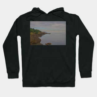 850_2575 Hoodie